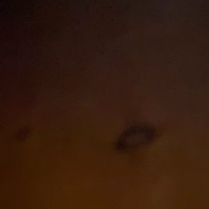 Meet your Posher, Bryce